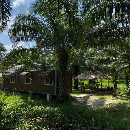 Forest Guesthouse Ban Don Muang  Exteriér fotografie