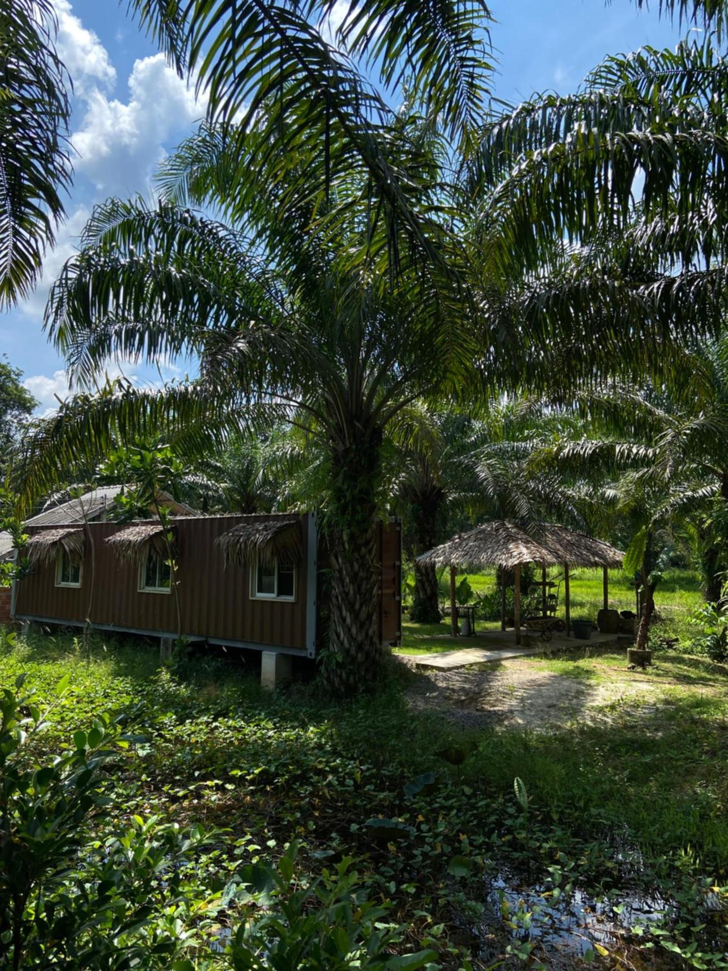 Forest Guesthouse Ban Don Muang  Exteriér fotografie